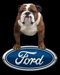 pic for FORD LOVIN BULLY